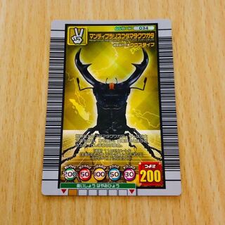 [Mandibula Squirrel stag beetle