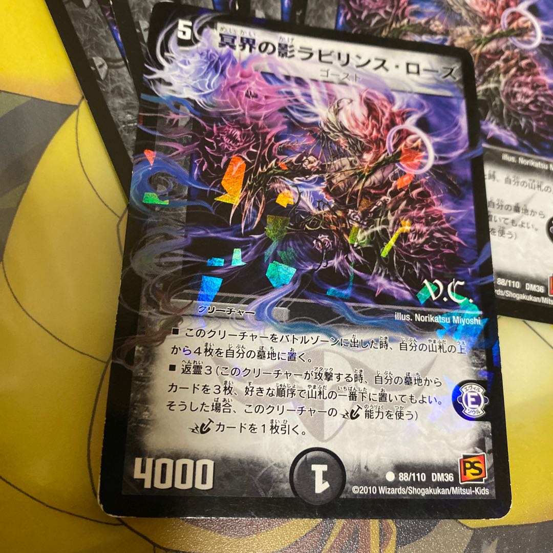 Nether Shadow Labyrinth Rose