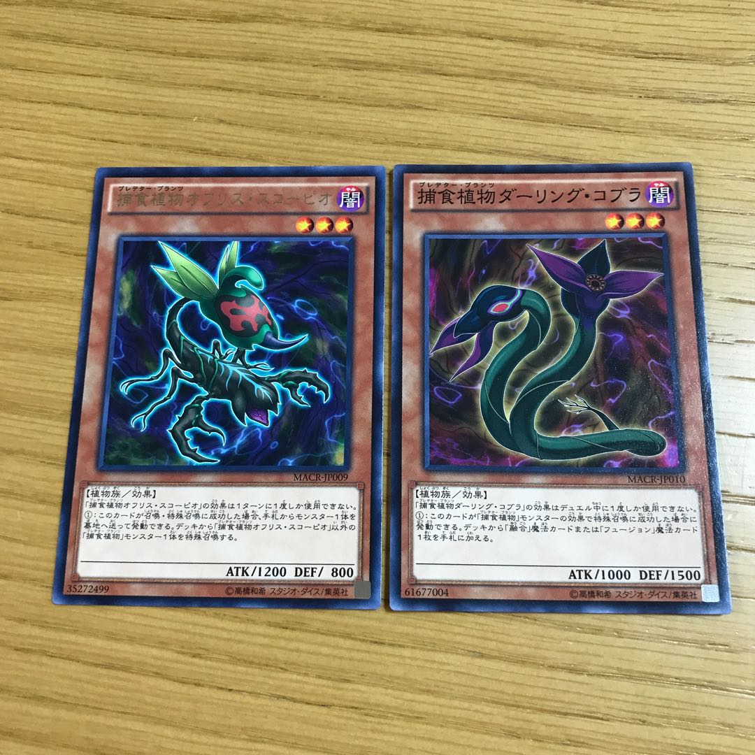 Predaplant Ophrys Scorpio Predaplant Darlingtonia Cobra Set of 2