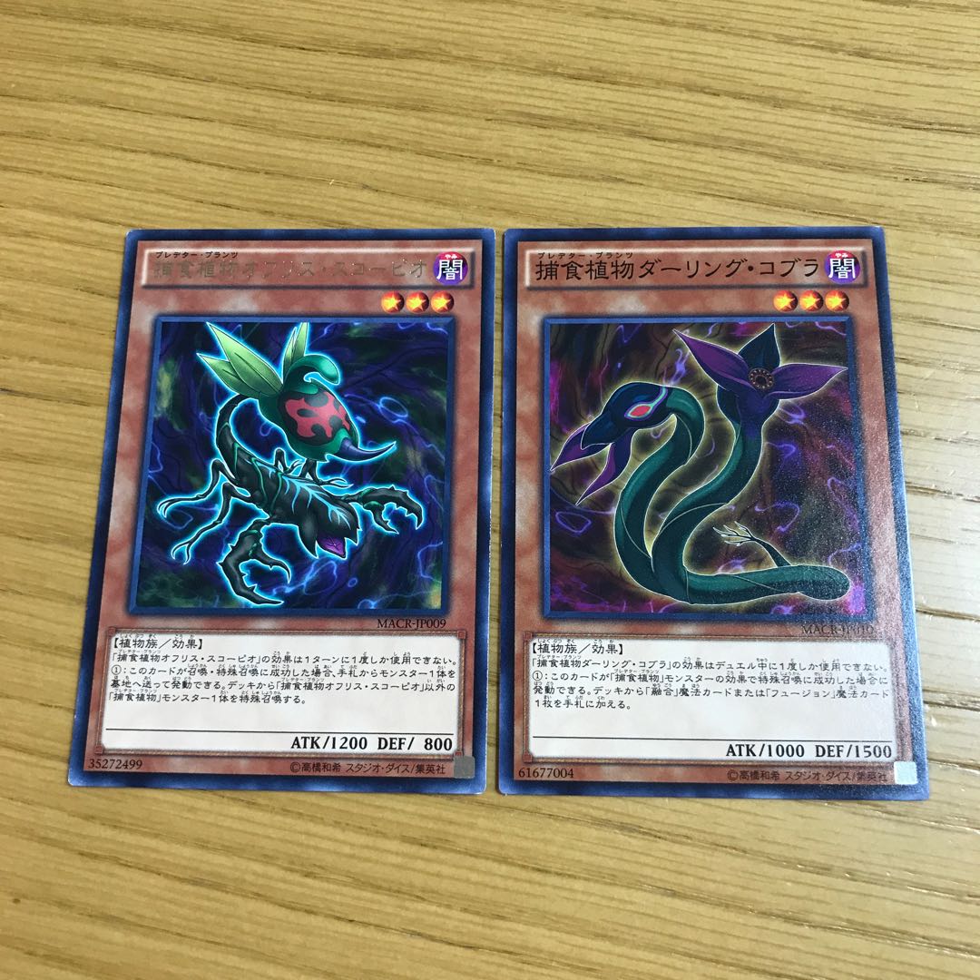 Predaplant Ophrys Scorpio Predaplant Darlingtonia Cobra Set of 2