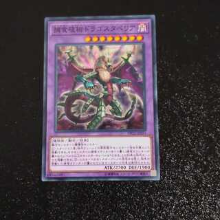 Predaplant Dragostapelia Normal [Mokurindo