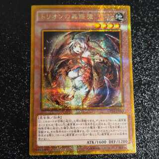 遊戯王　トリオンの蟲惑魔　ゴルシク　PSA10 511+NdHvBLL._AC_UL210_SR210,