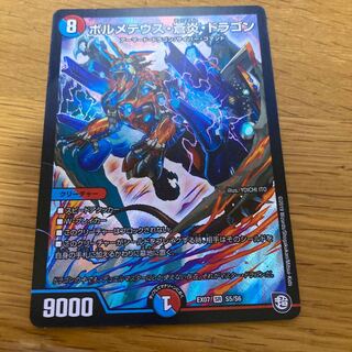 Bormetheus australis Fire Dragon