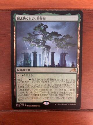 耐え抜くもの、母聖樹　foil