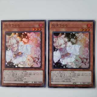 灰流うらら2枚セット