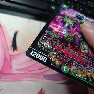 ドマンモ龍樹 2枚