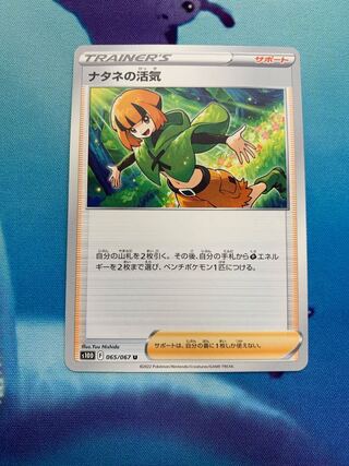 『他出品あり』ナタネの活気