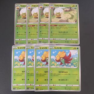 ワタシラガ ヒメンカ 進化セット