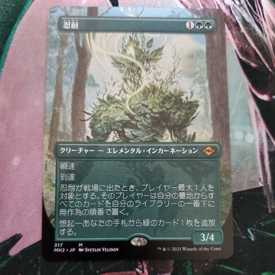 Endurance Borderless