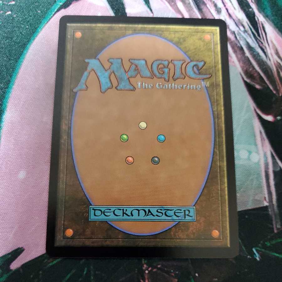 Endurance Borderless