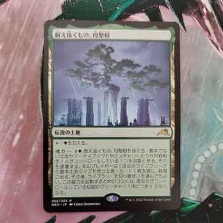 What endures, Mother Sacred Tree