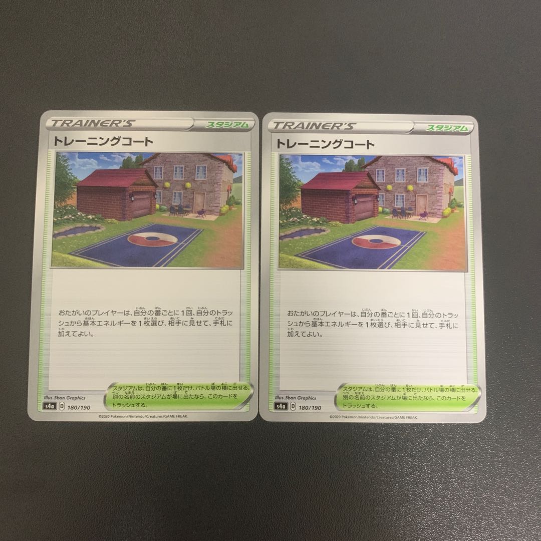 Training Court Set of 2