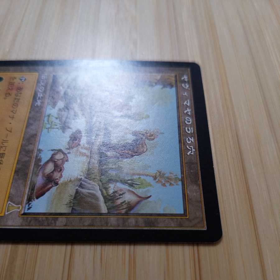 MTG Yavimaya Hollow (Japanese) ULD