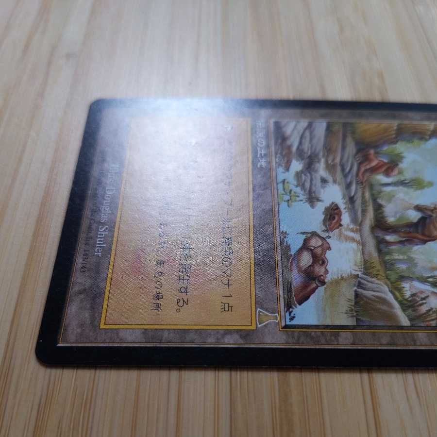 MTG Yavimaya Hollow (Japanese) ULD
