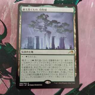 What endures, Mother Sacred Tree