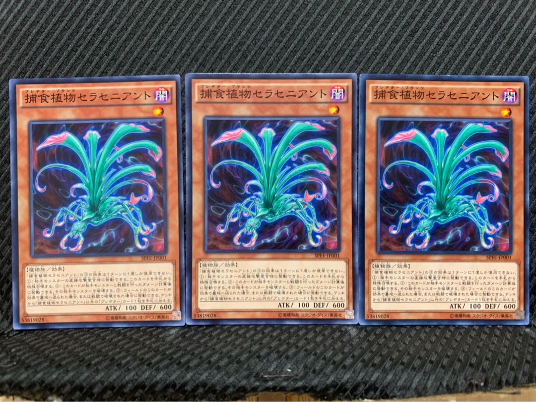 【ぽぽたん】遊戯王 6809 捕食植物セラセニアント 3枚 ノーマル