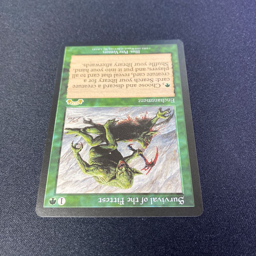 Survival of the Fittest (EXO) (English)