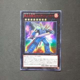 Coach King Giantrainer