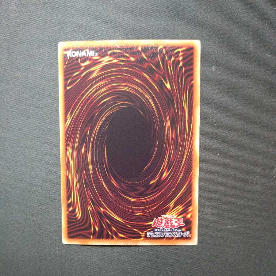 Coach King Giantrainer