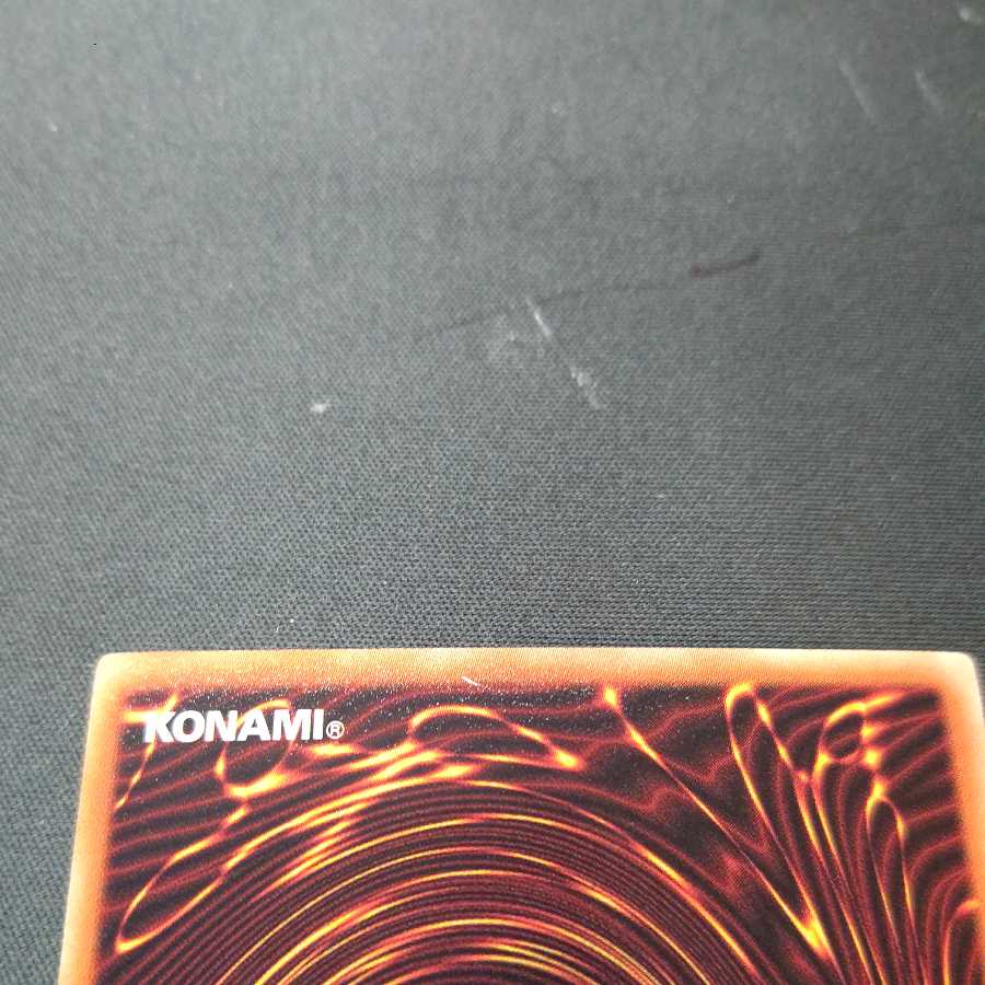 Coach King Giantrainer