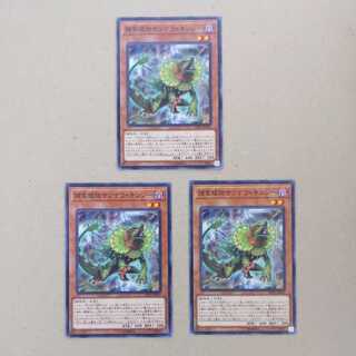 Predaplant Chlamydosundew Normal JP051