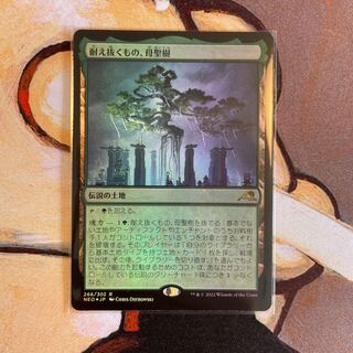 FOIL", the one who endures, Mother Sacred Tree Japanese Setb.