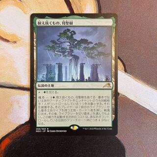 What endures, Mother Sacred Tree 日本語 Setov