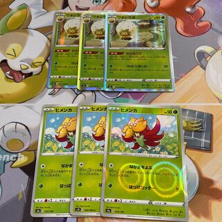 ワタシラガ　わたはこび　ヒメンカ