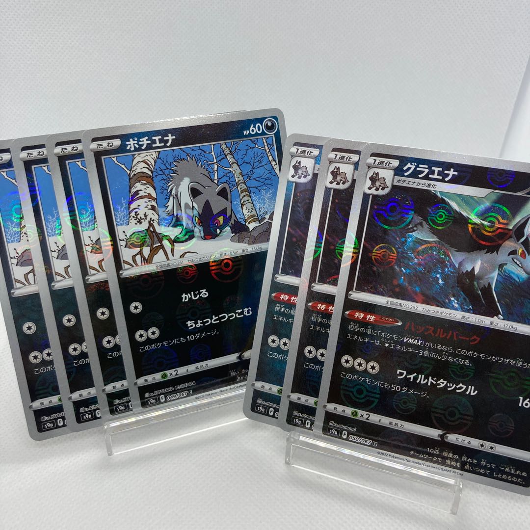 Poochyena Mightyena Mirror