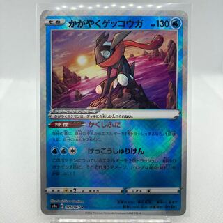 専用 かがやくゲッコウガ