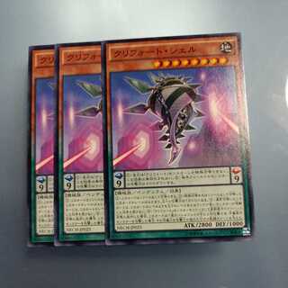 クリフォート・シェル ノーマル