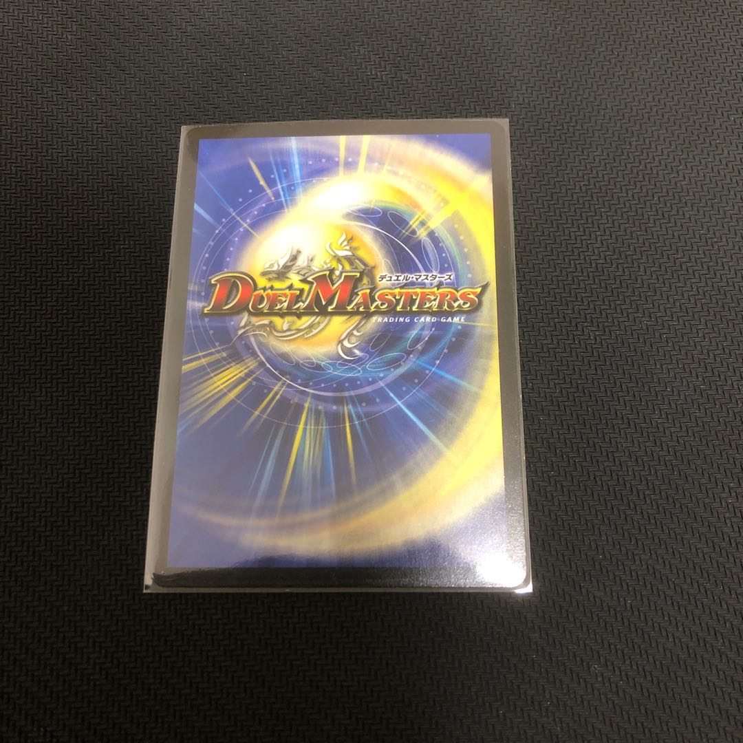 真実の聖霊王レオ・ザ・スター