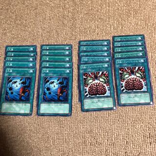 大嵐　洗脳ブレイコントロール