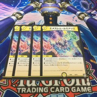 エメスレムルミナリエ　4枚