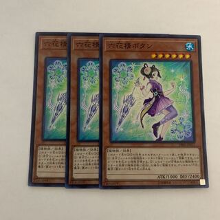 Mudan the Rikka Fairy 3 pieces