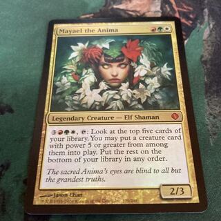 MTG 英語版foil アニマのメイエル 1枚