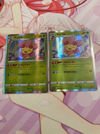 Cherrim (R spec.) 2 sheets