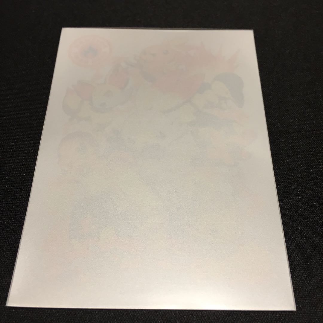 Pokémon Deck Shield Sleeves 20-Piece Set Fighters Fire Official Sleeves 20枚