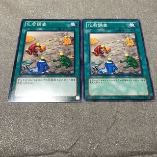 化石調査 ノーマル