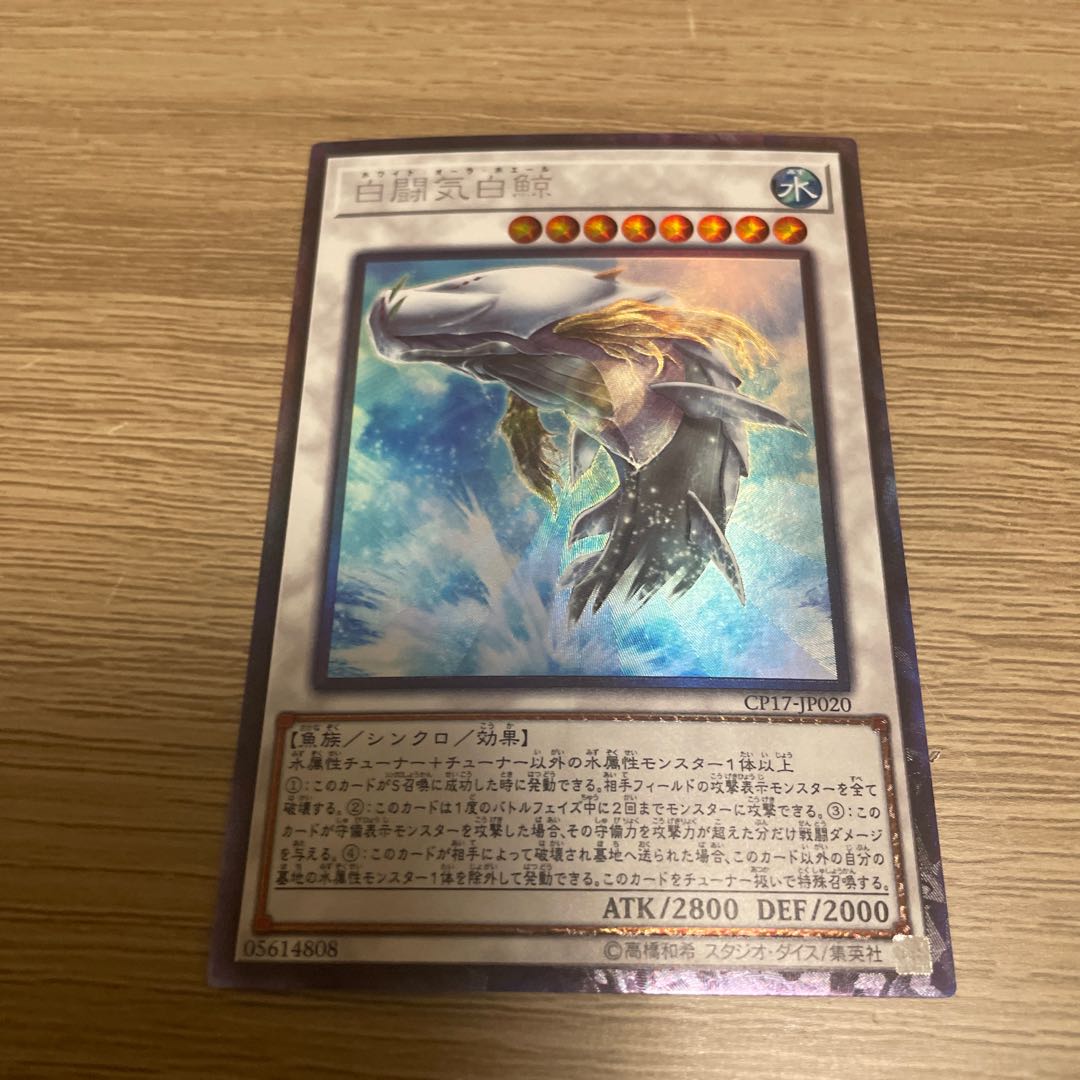 White Aura Whale Collector's Rare