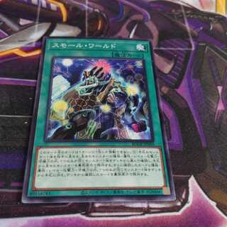 Small World Normal rare