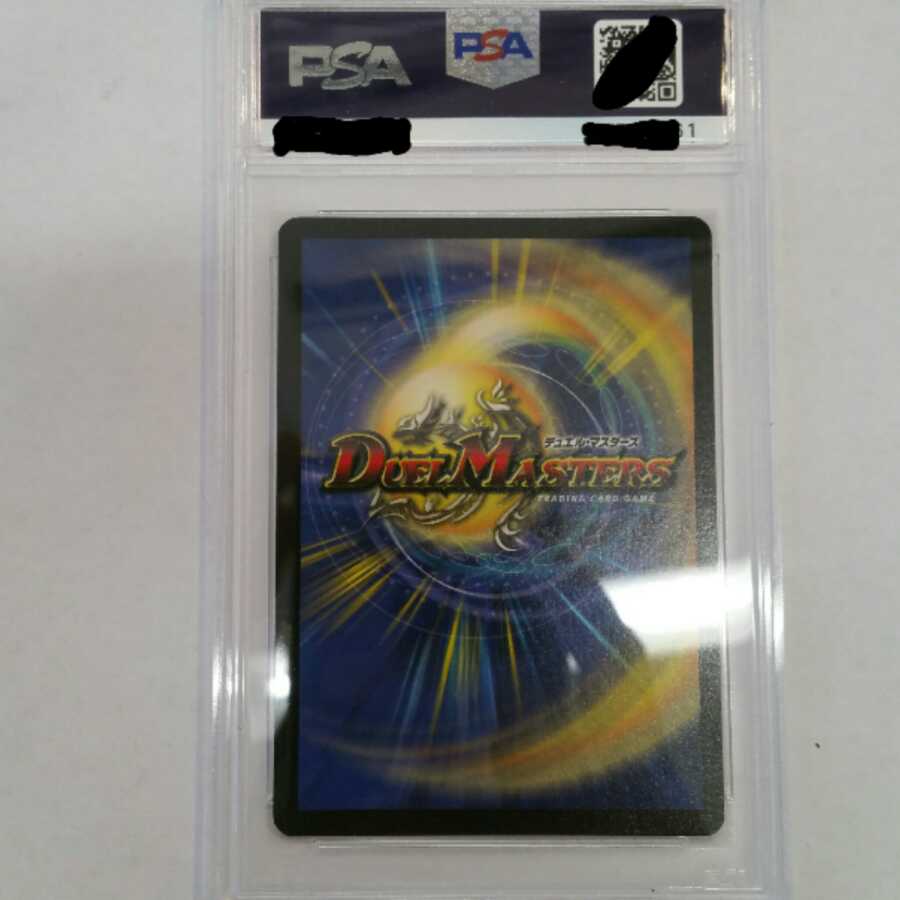 PSA7] Crystal Paladin