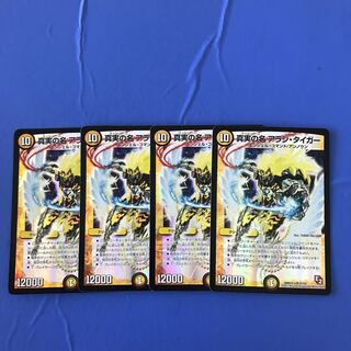 The True Name Arashi Tiger