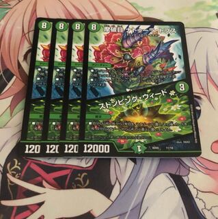 摩破目ナトゥーラトプス