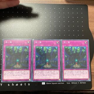 迷い風 ノーマル