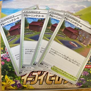 Training Court 4-piece set