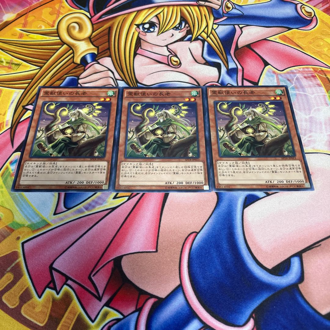 Ritual Beast Tamer Elder