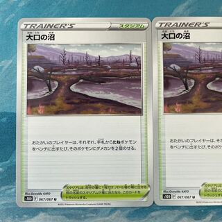2 Pokemon Cards Large Swamp