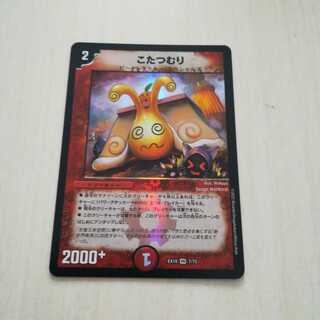 someone who curls up under a kotatsu all winter