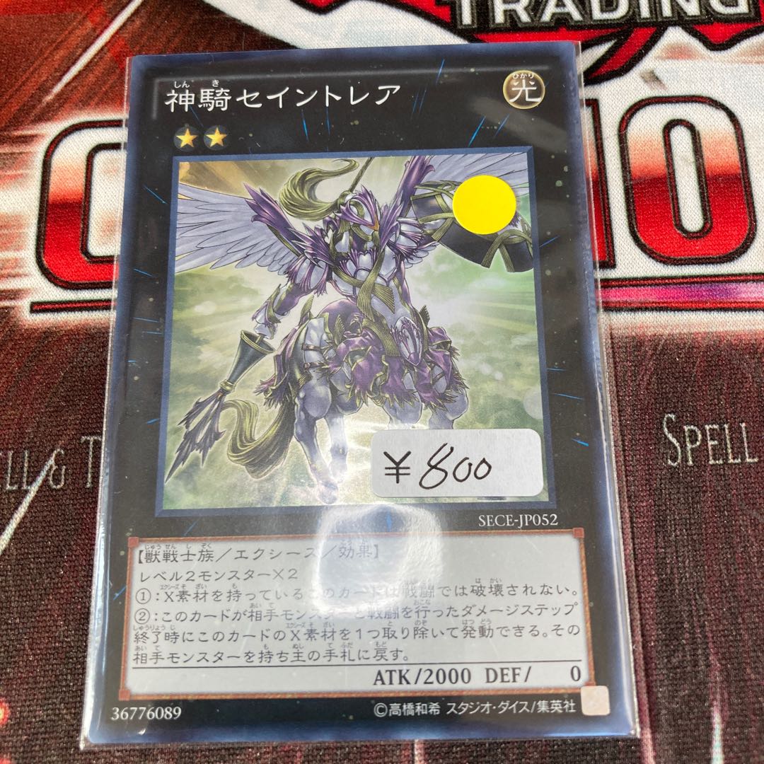 Sky Cavalry Centaurea Super Rare 1 copy Special Price